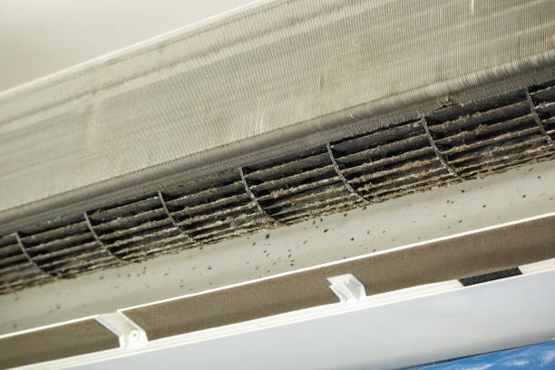 Best Affordable Duct Cleaning Services  in Jacksonwald, PA